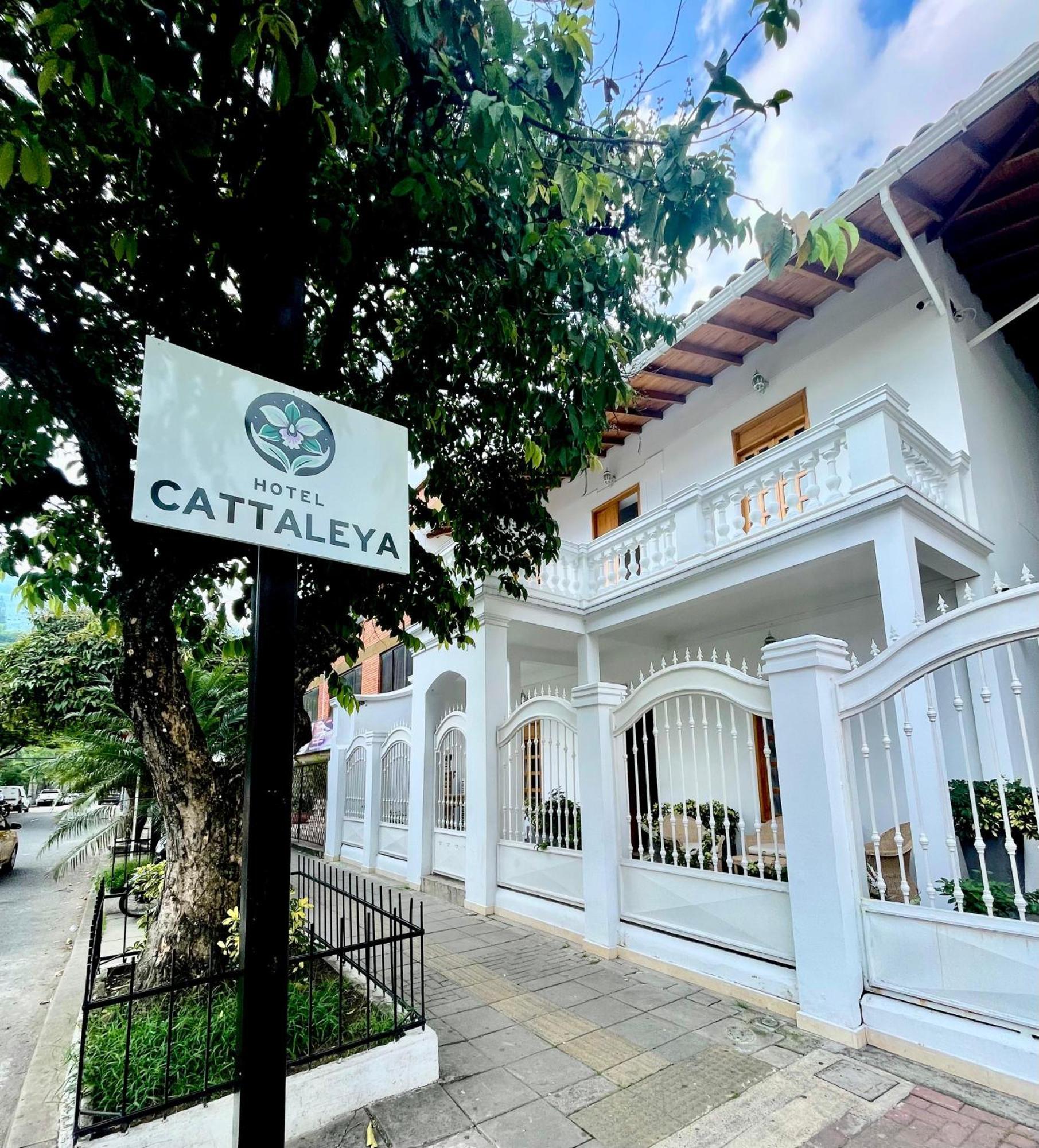 Hotel Cattaleya City Cali Zewnętrze zdjęcie
